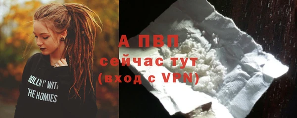 ГАЛЛЮЦИНОГЕННЫЕ ГРИБЫ Богданович