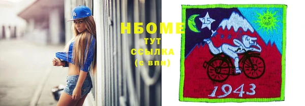 ГАЛЛЮЦИНОГЕННЫЕ ГРИБЫ Богданович