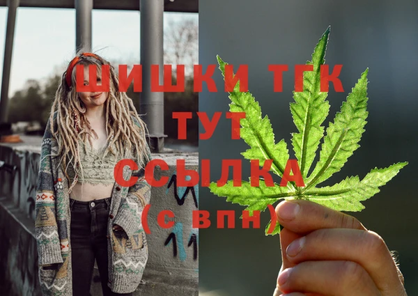 ГАЛЛЮЦИНОГЕННЫЕ ГРИБЫ Богданович
