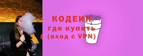 ГАЛЛЮЦИНОГЕННЫЕ ГРИБЫ Богданович