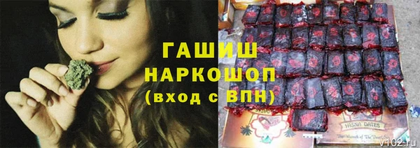 ГАЛЛЮЦИНОГЕННЫЕ ГРИБЫ Богданович