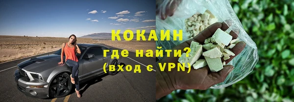 ГАЛЛЮЦИНОГЕННЫЕ ГРИБЫ Богданович