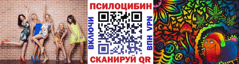 как найти   Сланцы  Галлюциногенные грибы Psilocybine cubensis 